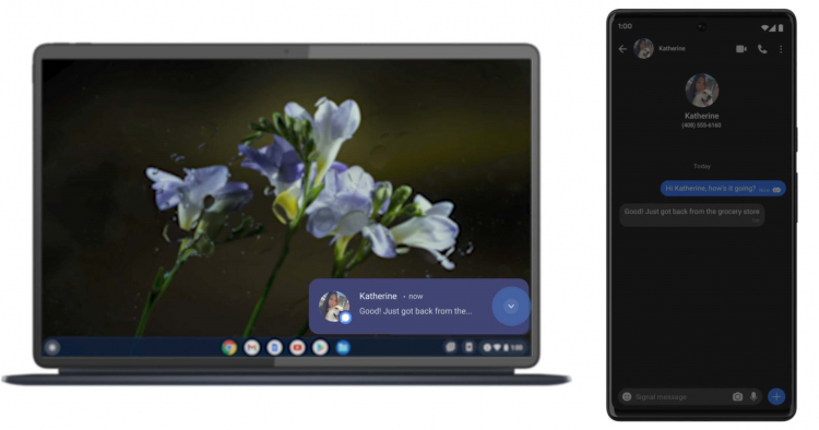 Google выпустила стабильную версию Android 13 — первыми её получили смартфоны Pixel