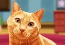 My little kitten (Мой маленький котенок)