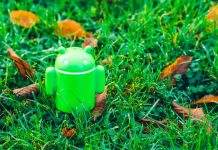 Названа самая популярная версия Android на сегодняшний день и это отнюдь не Android 15