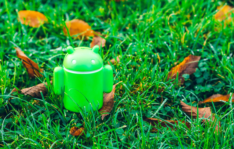 Названа самая популярная версия Android на сегодняшний день и это отнюдь не Android 15