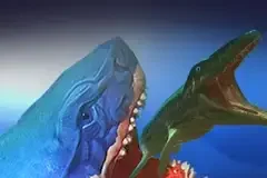 Feed and Fish Survivors