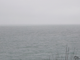 Обзор смартфона Sony Xperia 1 VII: на последнем дыхании