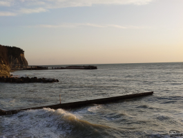 Обзор смартфона Sony Xperia 1 VII: на последнем дыхании