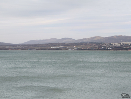 Обзор смартфона Sony Xperia 1 VII: на последнем дыхании