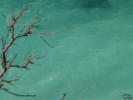 Обзор смартфона Sony Xperia 1 VII: на последнем дыхании