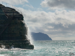 Обзор смартфона Sony Xperia 1 VII: на последнем дыхании