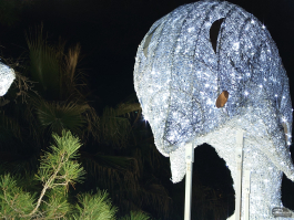 Обзор смартфона Sony Xperia 1 VII: на последнем дыхании