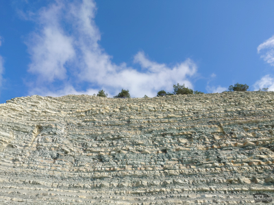 Обзор смартфона Sony Xperia 1 VII: на последнем дыхании