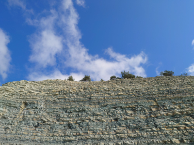 Обзор смартфона Sony Xperia 1 VII: на последнем дыхании