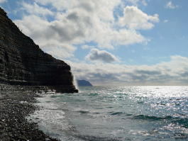 Обзор смартфона Sony Xperia 1 VII: на последнем дыхании