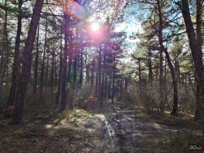 Обзор смартфона Sony Xperia 1 VII: на последнем дыхании