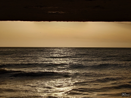 Обзор смартфона Sony Xperia 1 VII: на последнем дыхании