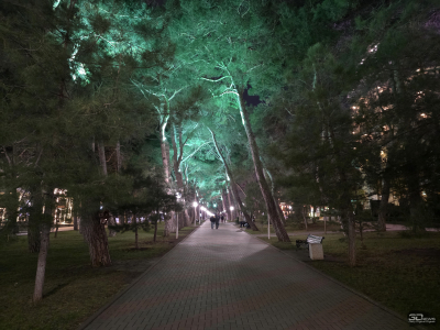 Обзор Samsung Galaxy Z TriFold: тройной складной смартфон по цене квартиры в Воркуте