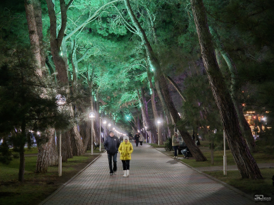 Обзор Samsung Galaxy Z TriFold: тройной складной смартфон по цене квартиры в Воркуте