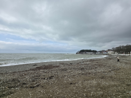 Обзор Samsung Galaxy Z TriFold: тройной складной смартфон по цене квартиры в Воркуте