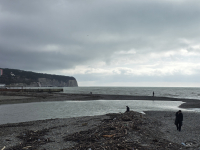 Обзор Samsung Galaxy Z TriFold: тройной складной смартфон по цене квартиры в Воркуте