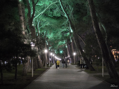 Обзор Samsung Galaxy Z TriFold: тройной складной смартфон по цене квартиры в Воркуте