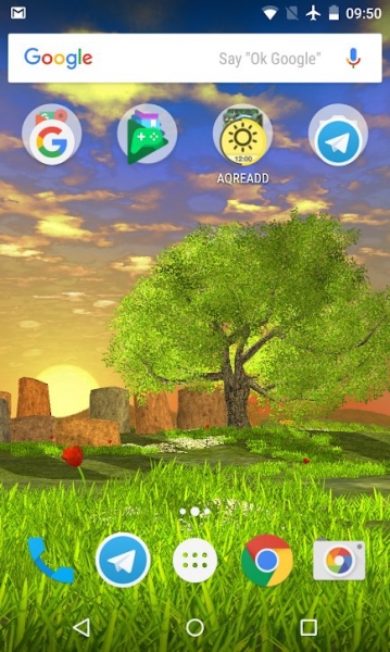 Nature Tree Milky Way